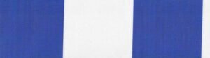 G+系列6206 100%Solution Dyed polyester fabric