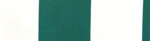 G+系列6207 100%Solution Dyed polyester fabric
