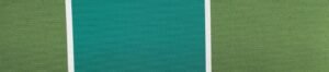 G+系列6303 100%Solution Dyed polyester fabric