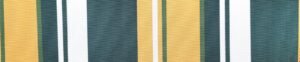 G+系列6305 100%Solution Dyed polyester fabric