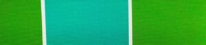 G+系列6311 100%Solution Dyed polyester fabric